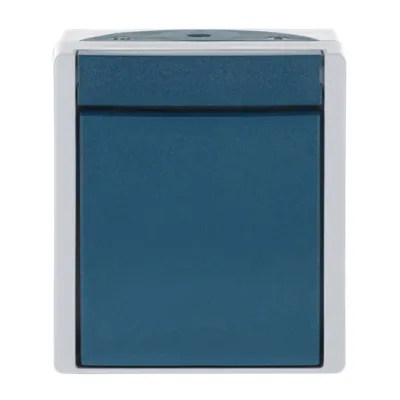 Busch-Jaeger Wippschalter 2601/2 W-53 | 2-polig Aufputz | IP44 | 10A 250V | Thermoplast | grau/blaugrün