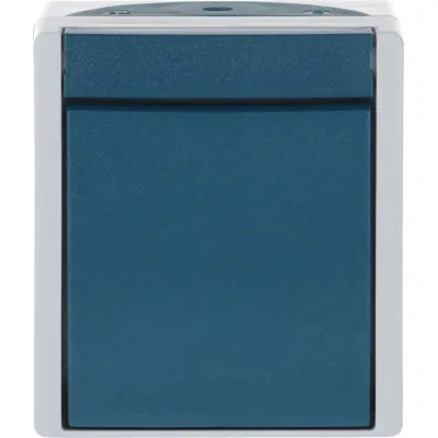 Busch-Jaeger Wippschalter 2601/2 W-53 | 2-polig Aufputz | IP44 | 10A 250V | Thermoplast | grau/blaugrün