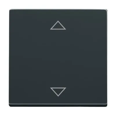 Busch-Jaeger Bedienelement 6430-81-102 | Jalousieschalter Abdeckung Unterputz | Pfeil-Symbol | Kunststoff | anthrazit