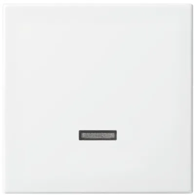 Busch-Jaeger Dimmer Bedienelement 6543-914-102 | 1-fach | Glimmlampe | alpinweiß | glänzend | Kunststoff