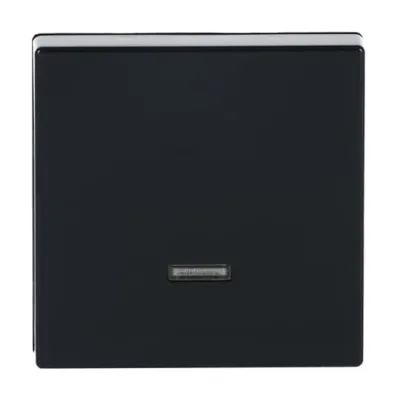 Busch-Jaeger Bedienelement 6543-81-101 | Schalter/Dimmer-Taste mit Glimmlampe | glänzend | anthrazit | Kunststoff | IP20