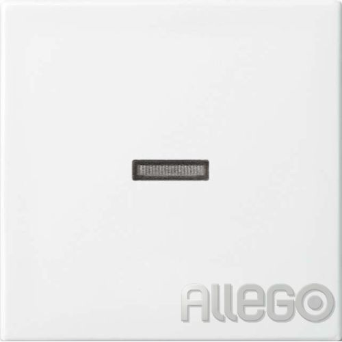 Bild: Busch-Jaeger ch-J. Wippe aws Busch-balance SI 1789 N-914