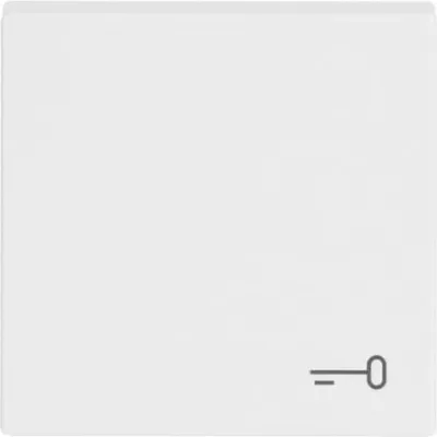 Busch-Jaeger Wippe 2520 TR-84 | Symbol Schlüssel/Tür | Abdeckung Schalter/Taster | studioweiß glänzend | Kunststoff