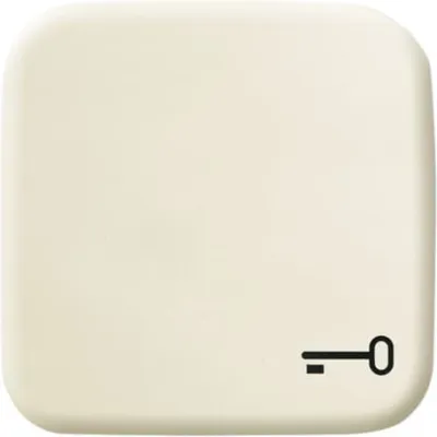 Busch-Jaeger Wippe 2520 TR-212 | Abdeckung für UP-Taster | Symbol Schlüssel | Duroplast | glänzend | cremeweiß