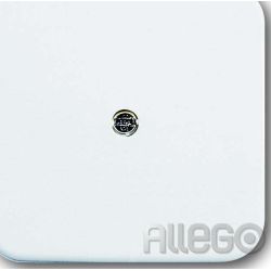 Busch-Jaeger ch-J. Zentralscheibe aws VDo Telefonverbinderdos 2536-214