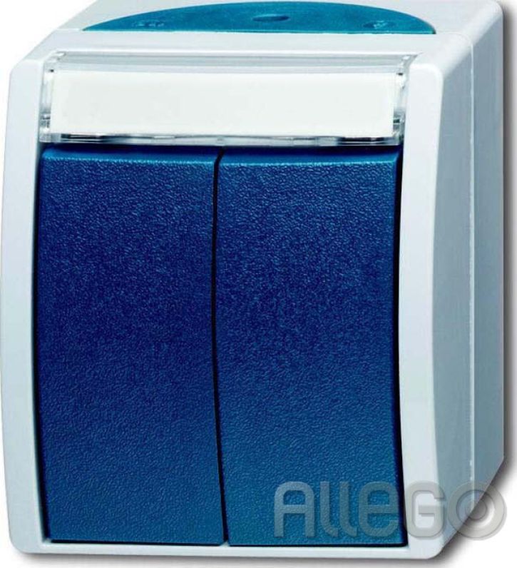 Busch-Jaeger Doppeltaster 2 Schliesser AP 2621 WN-53-205-101