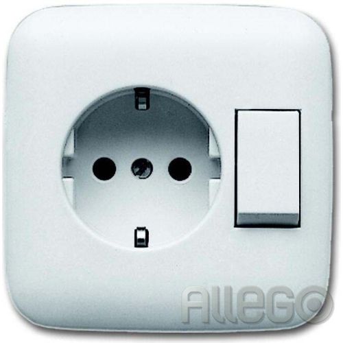 Bild: Busch-Jaeger Kombination ws Steckd.+We.schalter 4310/6 EUJ-214