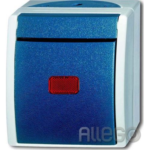 Bild: Busch-Jaeger Kontrollwechselschalter AP 2601/6 SKW-53