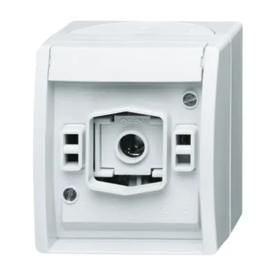 Busch-Jaeger Lichtsignal 2661 W-54 | E10 Fassung | Aufputz Basiselement | IP44 | ohne Haube & Lampe | alpinweiß