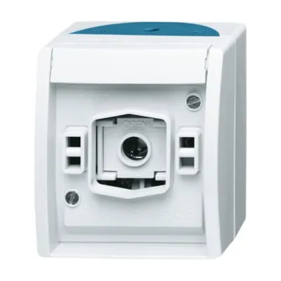 Busch-Jaeger Lichtsignal 2661 W-53 | Aufputz Basiselement E10-Gewinde | IP44 | ohne Haube | grau/blaugrün | Kunststoff