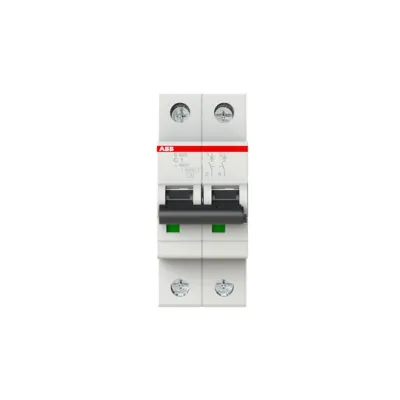 ABB Leitungsschutzschalter S202-C1 | Sicherungsautomat 1A C-Charakteristik | 2-polig | 400V 6kA | Pro M Compact | IP20