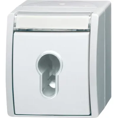 Busch-Jaeger Schlüsselschalter 2733 SLW-54 | 1-polig | Aufputz | Profilhalbzylinder | IP44 | Alpinweiß