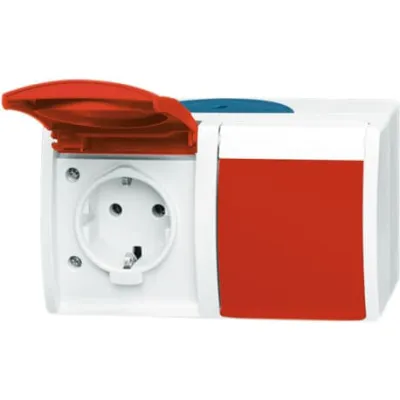 Busch-Jaeger Schuko Doppelsteckdose 2-fach | IP44 | Klappdeckel | Beschriftungsfeld | Aufputz | grau/blaugrün/rot