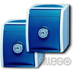 Busch-Jaeger Schuko-Steckdose 2xAP 2 gleiche Schlö 20/20 EWSL-53