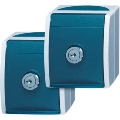 Busch-Jaeger Schuko-Steckdose 20/20 EWSL-53 | 2-fach abschließbar | Aufputz | Klappdeckel | IP44 | grau/blaugrün