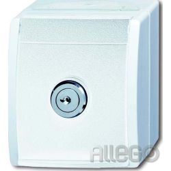 Busch-Jaeger SCHUKO-Steckdose al/ws mit Schloss 20 EWSL-54