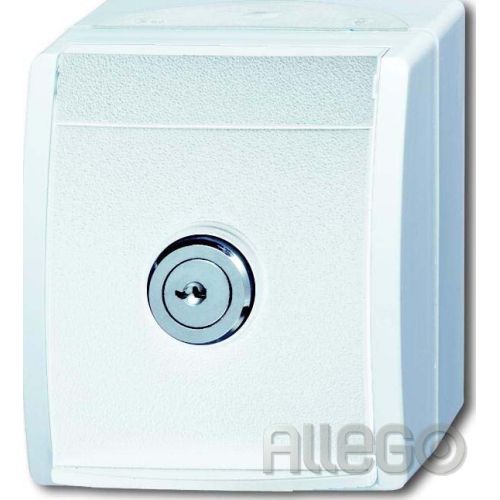 Bild: Busch-Jaeger SCHUKO-Steckdose al/ws mit Schloss 20 EWSL-54