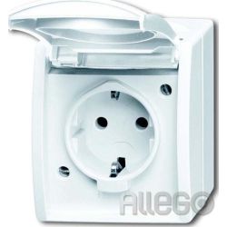 Busch-Jaeger Schuko-Steckdose mit Klappdeckel 20 EW-54