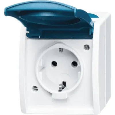 Busch-Jaeger Schuko Steckdose 20 EWN-53 | Aufputz IP44 | Klappdeckel | Beschriftungsfeld | grau/blaugrün