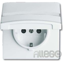 Busch-Jaeger Schuko-Steckdoseneinsatz IP44 alpi 20 EUGKBN-34-101