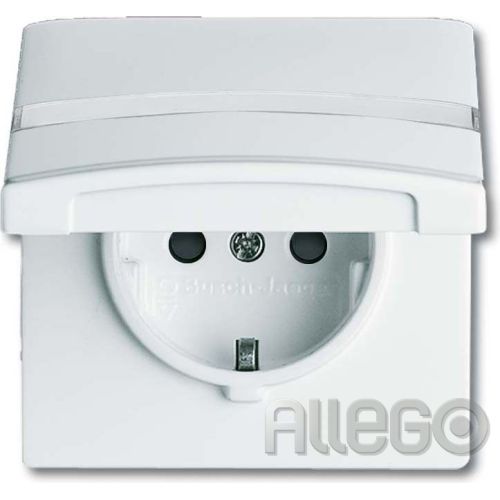 Bild: Busch-Jaeger Schuko-Steckdoseneinsatz IP44 alpi 20 EUGKBN-34-101