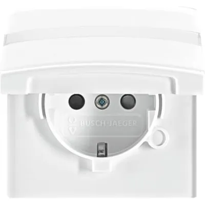 Busch-Jaeger Schuko-Steckdose 20 EUGKBN-34-101 | Allwetter 44 UP IP44 | Klappdeckel | Beschriftungsfeld | alpinweiß