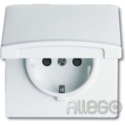 Busch-Jaeger Schuko-Steckdoseneinsatz IP44 alpin 20 EUGKB-34-101