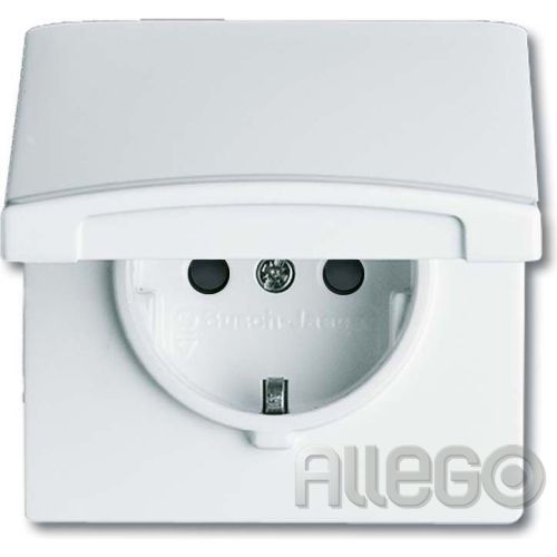 Bild: Busch-Jaeger Schuko-Steckdoseneinsatz IP44 alpin 20 EUGKB-34-101