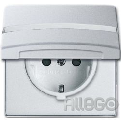 Busch-Jaeger Schuko-Steckdoseneinsatz IP44 alus 20 EUGKBN-33-101
