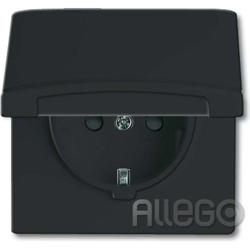 Bild: Busch-Jaeger Schuko-Steckdoseneinsatz IP44 anthr 20 EUGKB-35-101