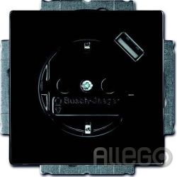 Busch-Jaeger Schuko/USB-Steckdose anthrazit 20 EUCBUSB-81