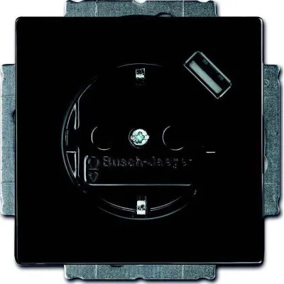Busch-Jaeger SCHUKO/USB-Steckdose 20 EUCBUSB-81 | USB Typ A | erhöhter Berührungsschutz | Unterputz | anthrazit