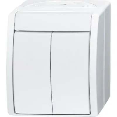 Busch-Jaeger Wippschalter Serien 2601/5 W-54 | Serienschalter Aufputz IP44 | 2-fach | Kunststoff Thermoplast | alpinweiß