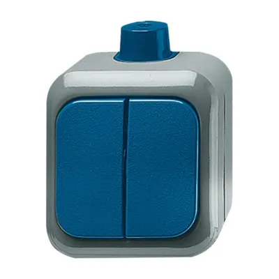 Busch-Jaeger Serienschalter 2601/5 WDI | Aufputz IP66 | 2-fach Wippe | 16AX 250V | Thermoplast | matt | blau