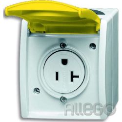 Busch-Jaeger Steckdose 3016 EWN-53