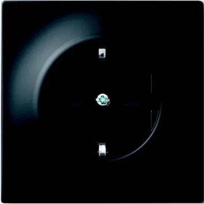 Busch-Jaeger SCHUKO Steckdose | Unterputz | 16A | schwarz matt | IP20 | RAL 9005