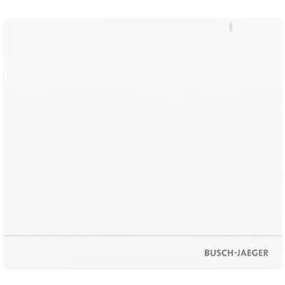 Busch-Jaeger System Access Point 2.0 SAP/S.13 | free@home Zentralgerät | Wireless & Wired | WLAN 2,4/5 GHz | Weiß