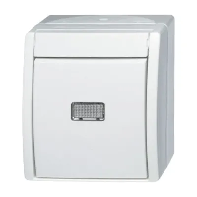 Busch-Jaeger Wipptaster Wechsler 2621 W-54-206 | Aufputz | IP44 | 1-polig | mit N-Klemme | alpinweiß