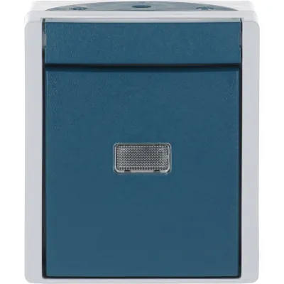 Busch-Jaeger Wipptaster Wechsler | 1-polig | Aufputz | IP44 | N-Klemme | Kunststoff Grau/Blaugrün