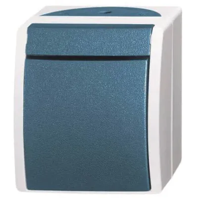 Busch-Jaeger Wipptaster 2621 W-53 | 1-polig Schließer | Aufputz | IP44 | mit N-Klemme | ocean grau/blaugrün | Kunststoff