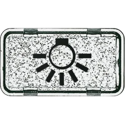 Busch-Jaeger Tastersymbol Licht 2622 LI-101 | Schalter-Symbol Allwetter 44 & ocean | glasklar | IP44 | transparent