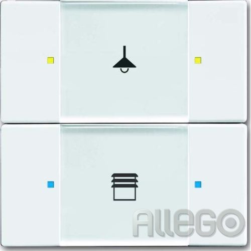 Bild: Busch-Jaeger Tastsensor 2/4fach Multifunktion 6126/02-84