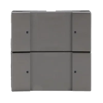 Busch-Jaeger KNX Tastsensor 2/4-fach 6126/02-866 | Edelstahl | LED | Unterputz | Beschriftungsfeld