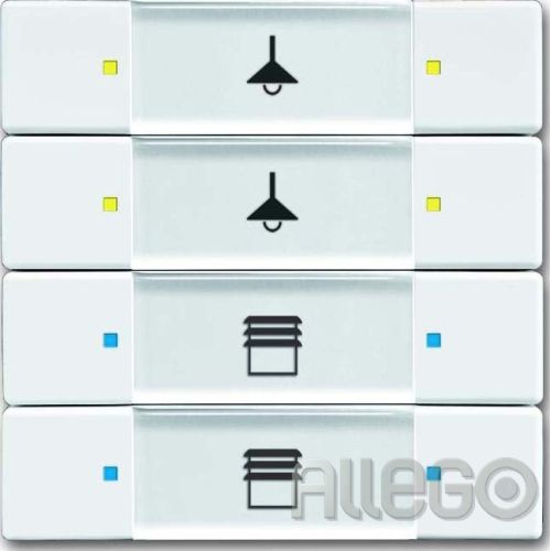 Bild: Busch-Jaeger Tastsensor 4/8fach Multifunktion 6127/02-84