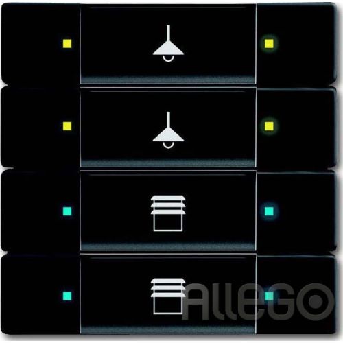 Bild: Busch-Jaeger Tastsensor 4/8fach Multifunktion 6127/02-885