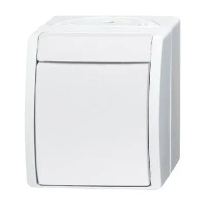 Busch-Jaeger Wippschalter 2601/6 W-54 | Wechselschalter Aufputz IP44 | Thermoplast matt | alpinweiß