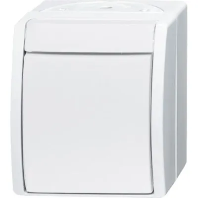 Busch-Jaeger Wippschalter 2601/6 W-54 | Wechselschalter Aufputz IP44 | Thermoplast matt | alpinweiß