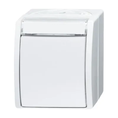 Busch-Jaeger Wippschalter 2601/6 WN-54 | Wechselschalter Aufputz IP44 | mit Beschriftungsfeld | alpinweiß | 250V 10AX