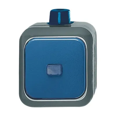 Busch-Jaeger Wechselschalter 2601/6 WDI | Aufputz | IP66 wasserdicht | 16A 250V | Thermoplast | grau/blau