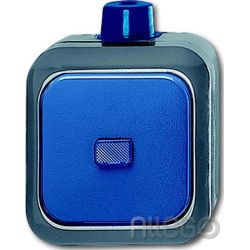 Busch-Jaeger Wechselschalter AP 2601/6 WDI